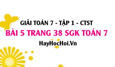 Giải bài 5 trang 38 Toán 7 Tập 1 SGK Chân trời sáng tạo